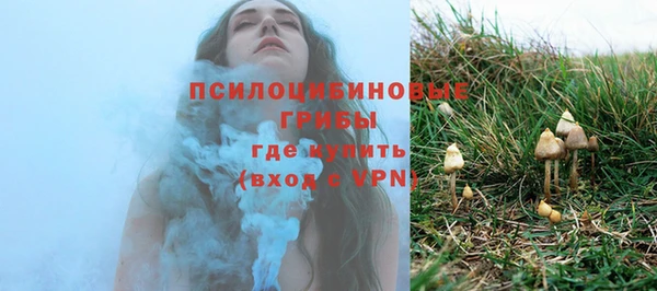 МДПВ Белокуриха