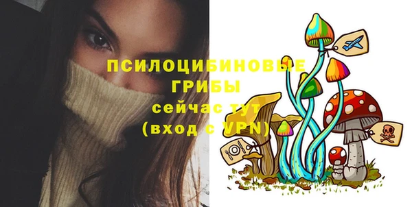 МДПВ Белокуриха
