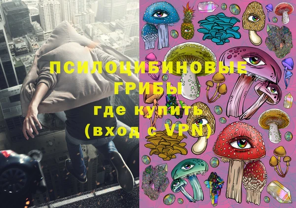 МДПВ Белокуриха